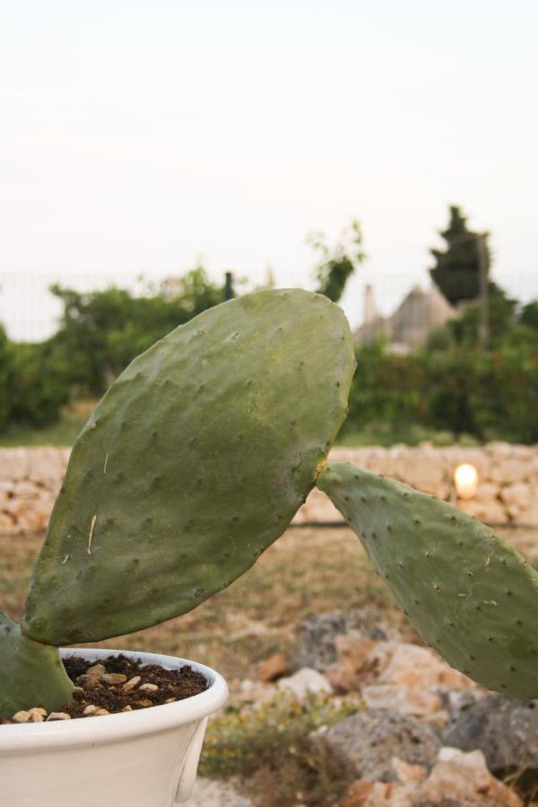 Vila Enjoytrulli - Countryside Noci Exteriér fotografie