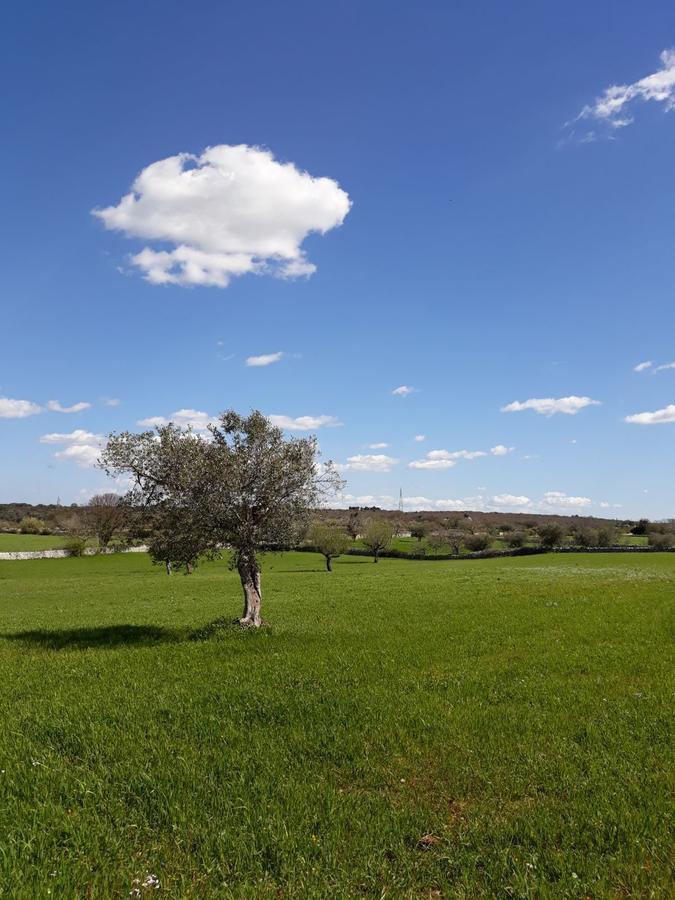 Vila Enjoytrulli - Countryside Noci Exteriér fotografie